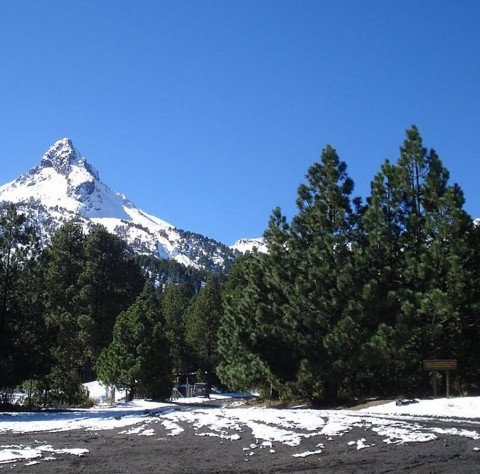 Nevado de Coloma Camp-Inc
